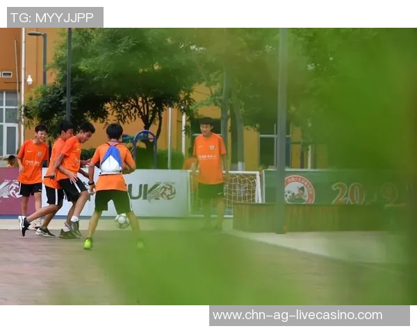 足球经典回顾：那些年我们一起追逐的绿茵传奇与感动瞬间